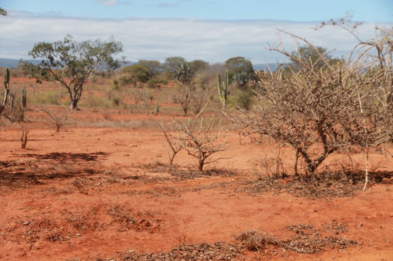 DESERTIFICAÇÃO
