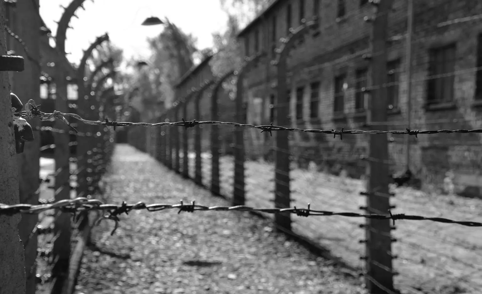 Auschwitz