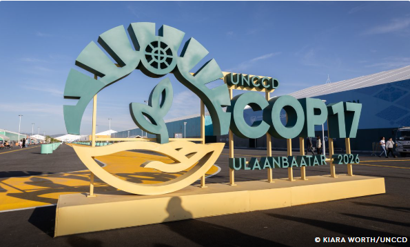 COP17