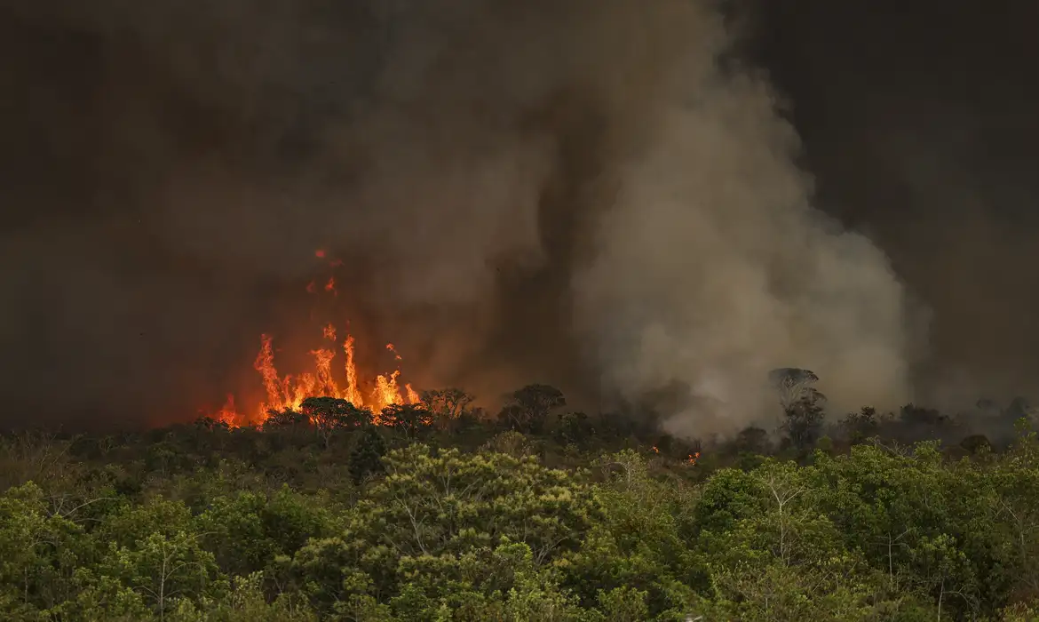 incendio parque nacionall mcamgo abr 16092024 7