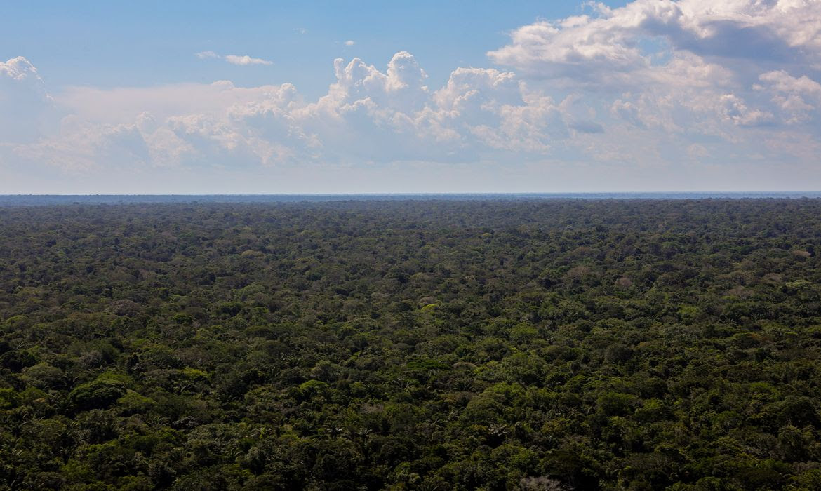 Amazônia