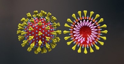Imagem: Scientific Animations.com / Wikimedia Commons