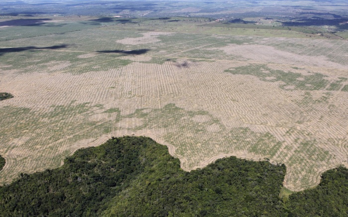 Vista aérea de área desmatada no Maranhão | Felipe Werneck - Ascom - Ibama