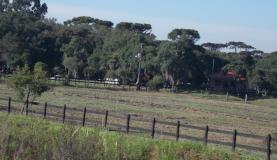 Hotsite traz sugestões de boas práticas para desenvolvimento sustentável no campo. Foto: Arquivo/Agência Brasil