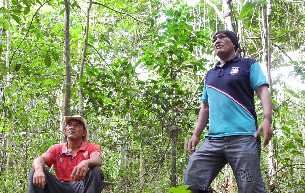 Franciel e Olímpio, dos Guardiões Guajajara. Foto: Survival